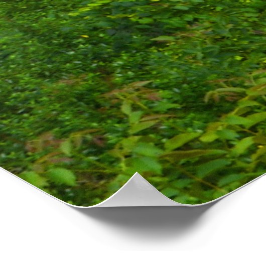 Real Spain Cantabria Poster (Ecke)