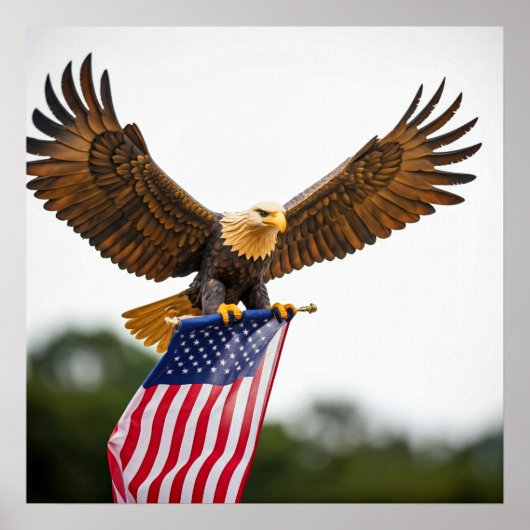 REALGESCHÄFTSGLEICH MIT AMERIKANISCHER FLAGGE POSTER (Vorne)