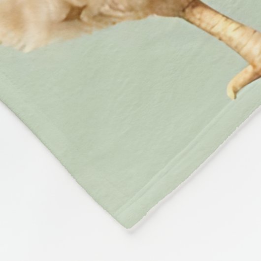 Realistic Chickens Farm Fresh Eggs Pattern Fleecedecke (Ecke)