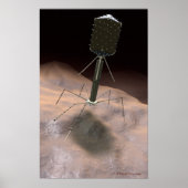 Realistic Illustration of bacteriophage Poster (Vorne)