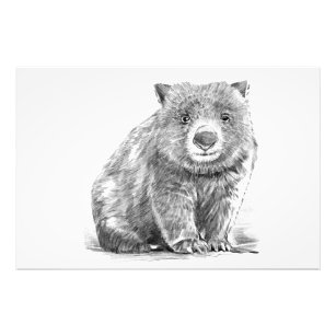 realistic wombat in pencil drawing style fotodruck