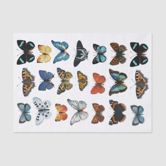 Realistisch aussehende Butterfly Collection Fussy  Seidenpapier (Vorderseite)