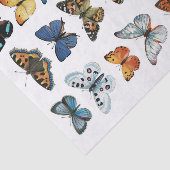 Realistisch aussehende Butterfly Collection Fussy  Seidenpapier (Ausschnitt)