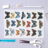 Realistisch aussehende Butterfly Collection Fussy  Seidenpapier (Handwerk)
