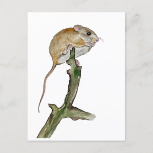 Realistische Aquarellmaus in einem Baum Postkarte