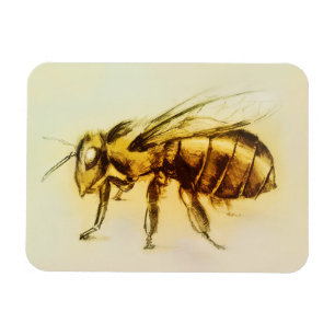 Realistische Gelbe Hornisse Kunst, Foto-Magnet - B Magnet
