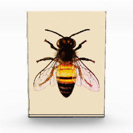 Realistische Honey Bee Art Illustration Fotoblock
