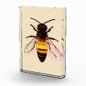 Realistische Honey Bee Art Illustration Fotoblock (Rechts)