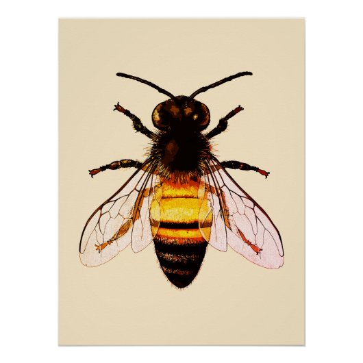 Realistische Honey Bee Art Illustration Poster (Vorderseite)