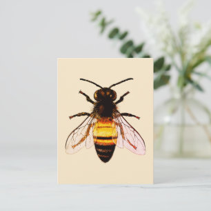 Realistische Honey Bee Art Illustration Postkarte