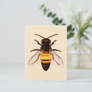 Realistische Honigbienen-Kunstillustration Postkarte