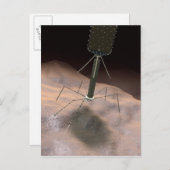 Realistische Illustration von Bakteriophage Postkarte (Vorne/Hinten)