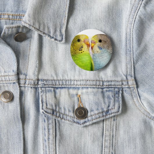 Realistische Malerei der Budgerigars Button (Beispiel)