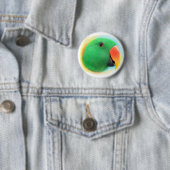 Realistische Malerei grünen eclectus Papageien Button (Beispiel)