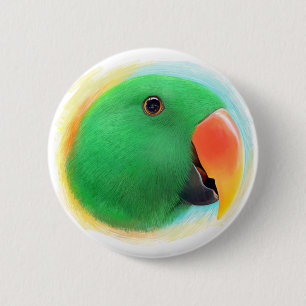 Realistische Malerei grünen eclectus Papageien Button