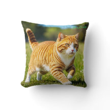 Realistische orange getigerte Katze auf einer sonn