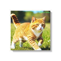 Realistische orange getigerte Katze auf einer sonn