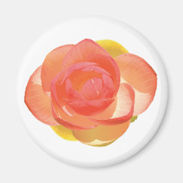 Realistische Pfingstrose Wasserlilie Blume Magnet