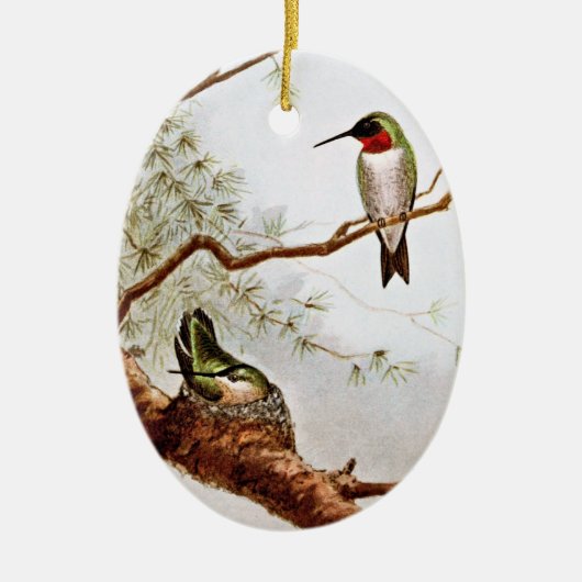 Realistische Rubin-Throated Kolibri-Kunst Keramikornament (Vorne)