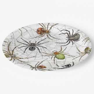 Realistische Spiders Webmuster Pappteller