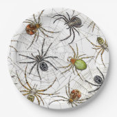 Realistische Spiders Webmuster Pappteller (Vorderseite)