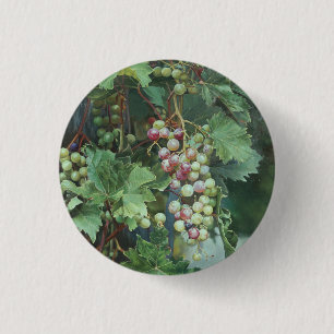 Realistische Weinrebe mit Blättern – Fine Art Button