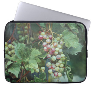 Realistische Weinrebe mit Blättern – Fine Art Laptopschutzhülle