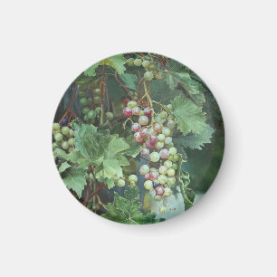 Realistische Weinrebe mit Blättern – Fine Art Magnet
