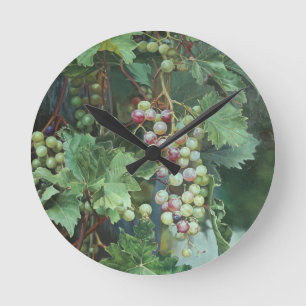 Realistische Weinrebe mit Blättern – Fine Art Runde Wanduhr