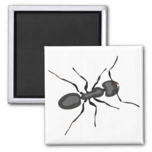 Realistischer Ant Magnet