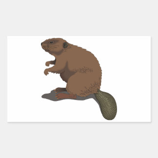 Realistischer Beaver Rechteckiger Aufkleber