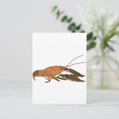 Realistischer Crayfish/Crawdad Postkarte (Stehend Vorderseite)