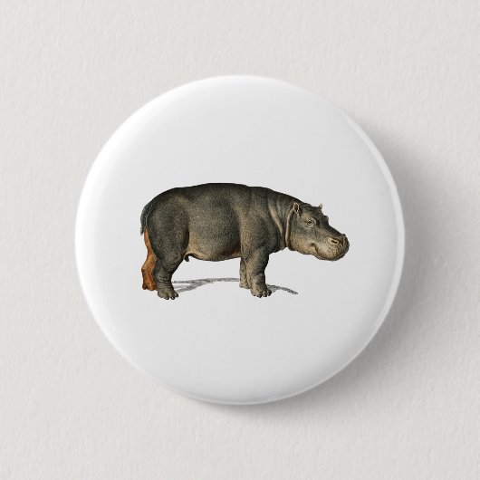 Realistischer Hippo Illustration-Hippopotamus Button (Vorderseite)