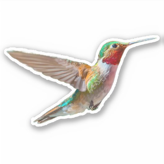 Realistischer Hummingbird Aufkleber (Vorderseite)