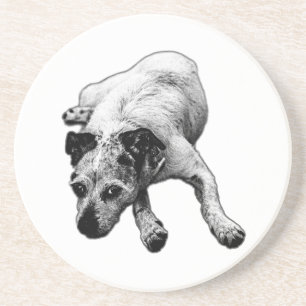 Realistischer Terrier Mix Lay Untersetzer