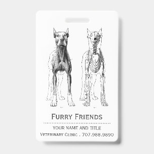 Realistischer Veterinär Anatomischer Hunde Ausweis