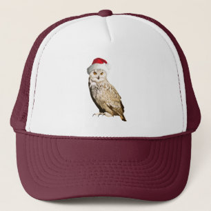 Realistischer Weihnachtskauz mit Mütze und Festiva