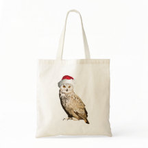 Realistischer Weihnachtskauz mit Mütze und Festiva