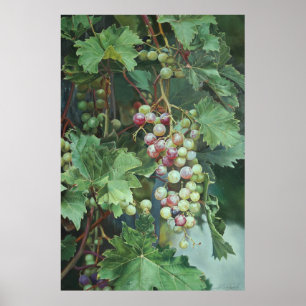 Realistischer Weinkeller mit Blätter - Kunst, Kult Poster