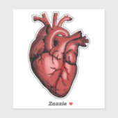 Realistisches Anatomisches Herzbild Aufkleber (Blatt)