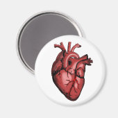 Realistisches Anatomisches Herzbild Magnet (Vorderseite/Rückseite)