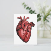 Realistisches Anatomisches Herzbild Postkarte (Stehend Vorderseite)
