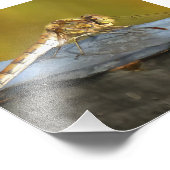 Realistisches Gemälde aus dem Ochsenbraun Fotodruck (Ecke)