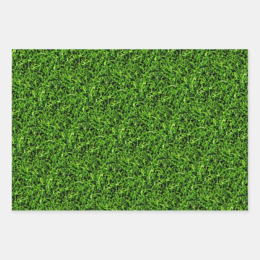 Realistisches Gras Foto Textur Funny Bright Green Geschenkpapier Set (Vorderseite 3)