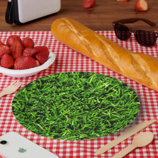 Realistisches Gras Foto Textur Funny Bright Green Pappteller