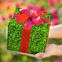 Realistisches Gras Foto Texture Fun Grün