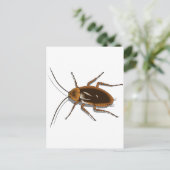 Realistisches Kakerlaken-Insekt Postkarte (Stehend Vorderseite)