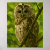 Realistisches Owl Malen in der Waldlandschaft Poster