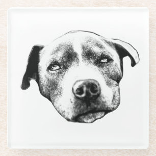 Realistisches Pit Bull Portrait Untersetzer