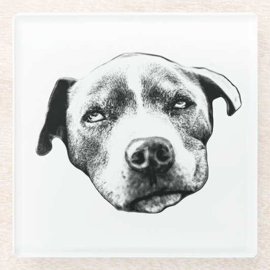 Realistisches Pit Bull Portrait Untersetzer (Vorderseite)